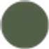 VERDE SELVA